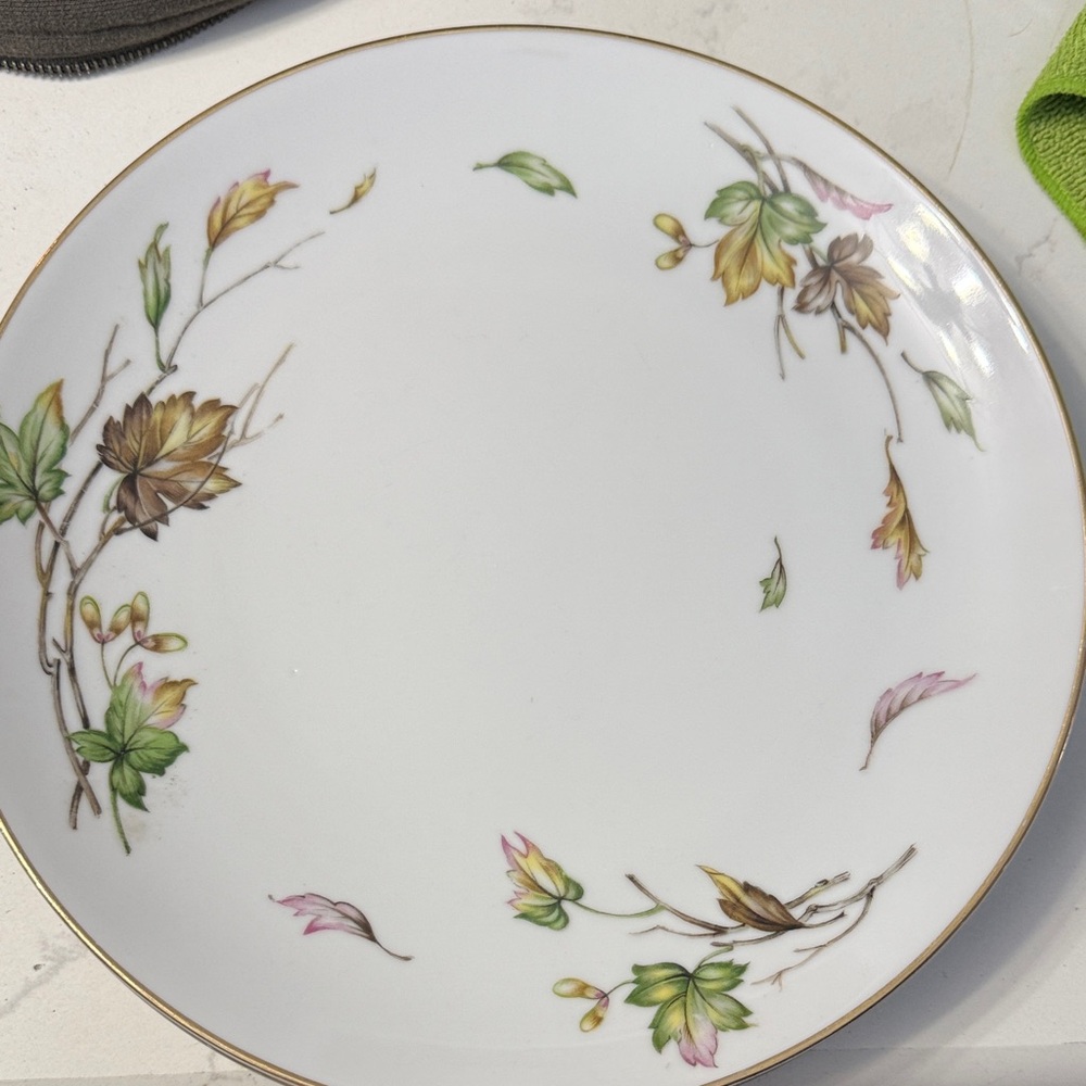 Set of 2 Elegant wentworth Autumn Dinner Plate with Gold Rim